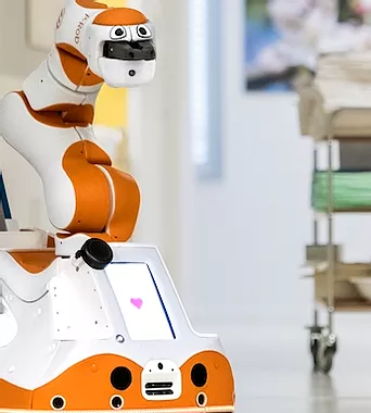 Lio Professional Personal Robot